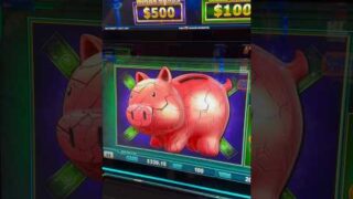 Massive Piggy Bankin Bonus Game Payout